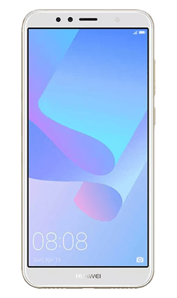 Y6 2018